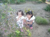 20080817_170024.jpg