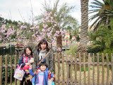 20160322_100617.jpg