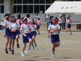20170520_122318t.jpg