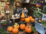 20180924_140153.jpg